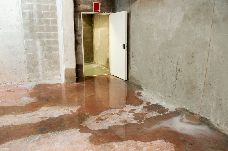 Basement Seepage Repair in Sarasota, FL