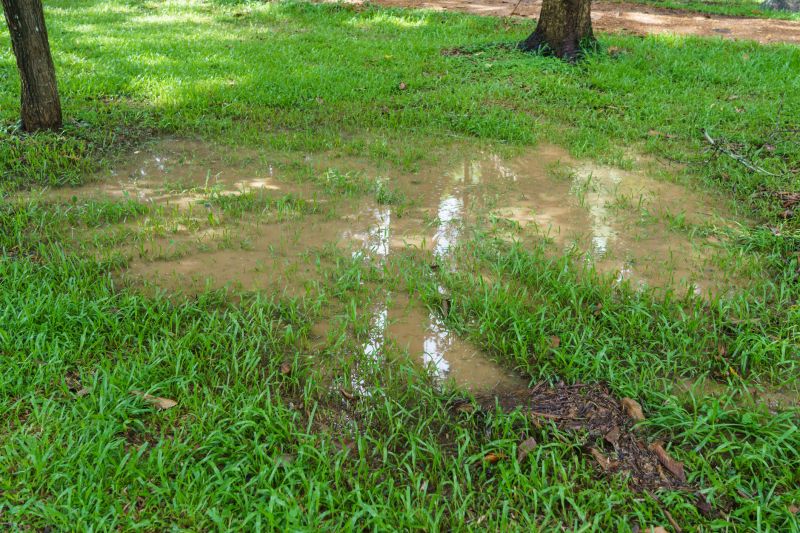 Water Pooling Prevention in Tuscaloosa, AL